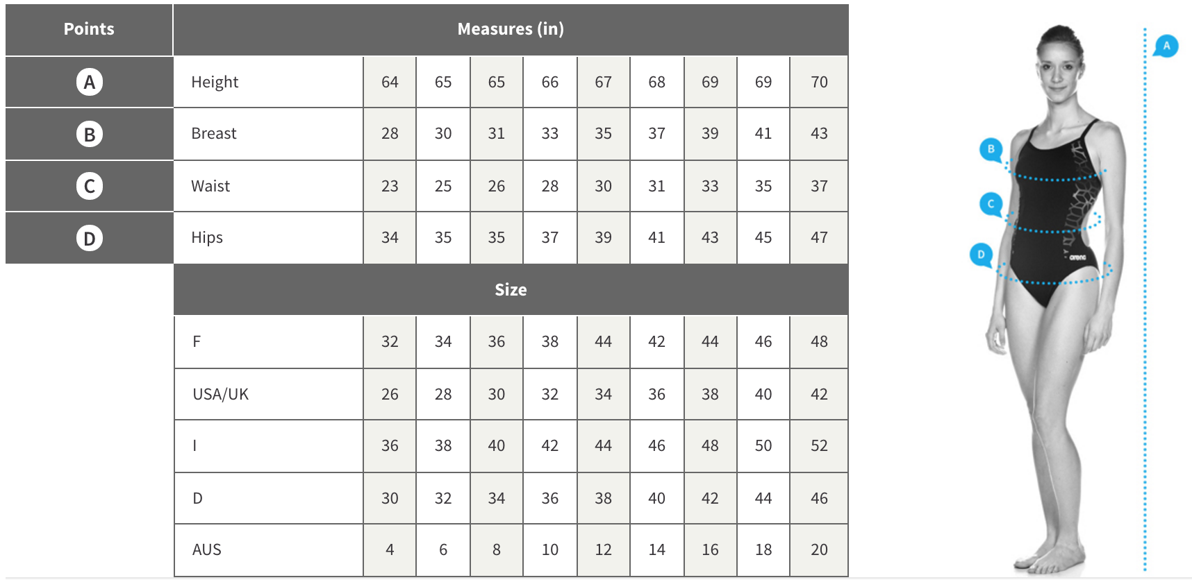 arena swimsuit size guide