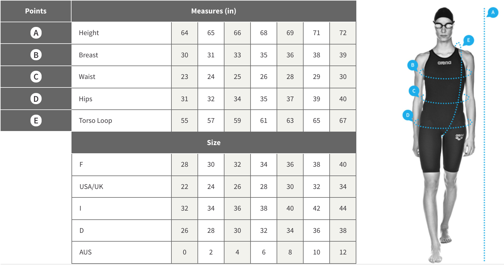 arena swim size chart